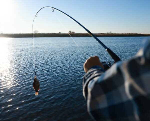 Family fishing by the waterfront during a recreational fishing workshop in Abu Dhabi.