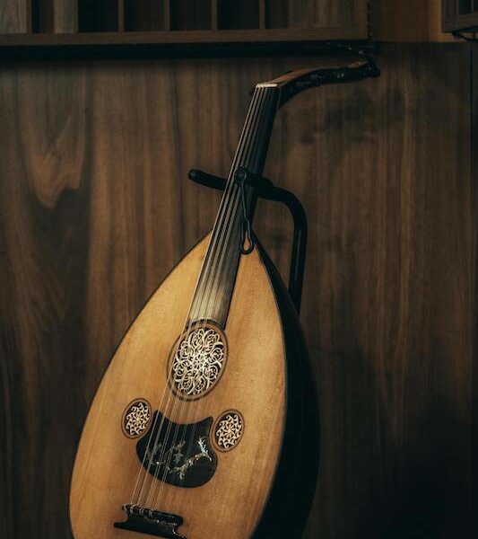 Learn to play a traditional Arabic string instrument, in a cultural workshop.